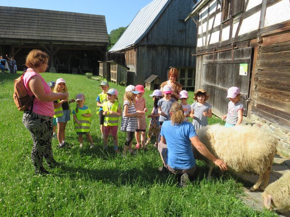 Kindergartenkinder besichtigen einen Bauernhof und stehen auf einer Weide