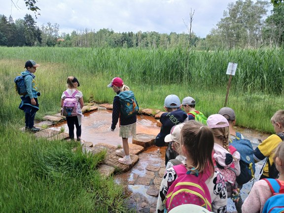 Kinder im Moor