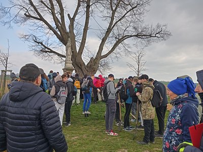Junge Leute beim großem Baum pflanzen Bäume