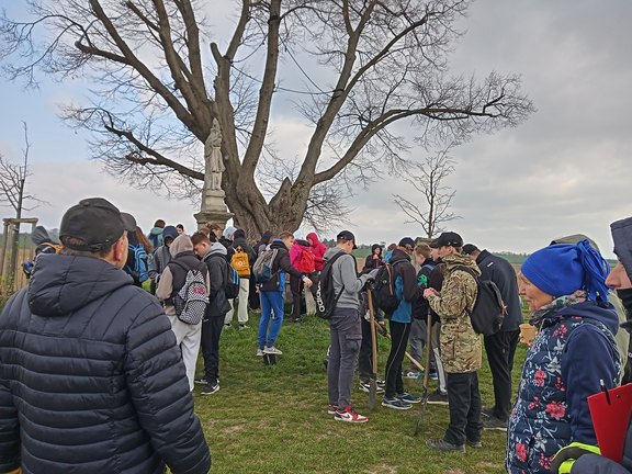Junge Leute beim großem Baum pflanzen Bäume