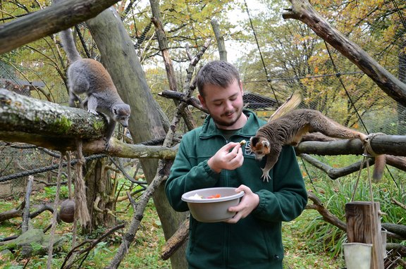 Ein junger Mann füttert ein Tier im Zoo.