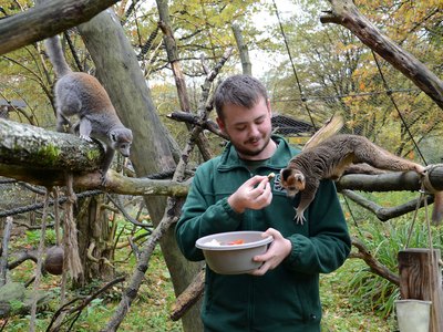 Ein junger Mann füttert ein Tier im Zoo.
